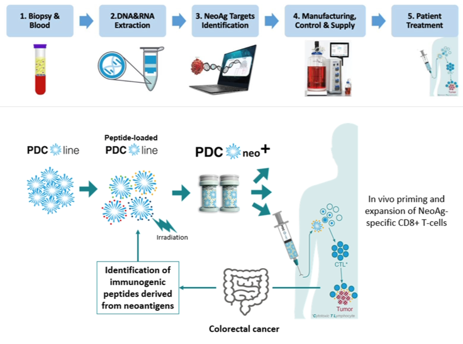 PDC*neo workflow